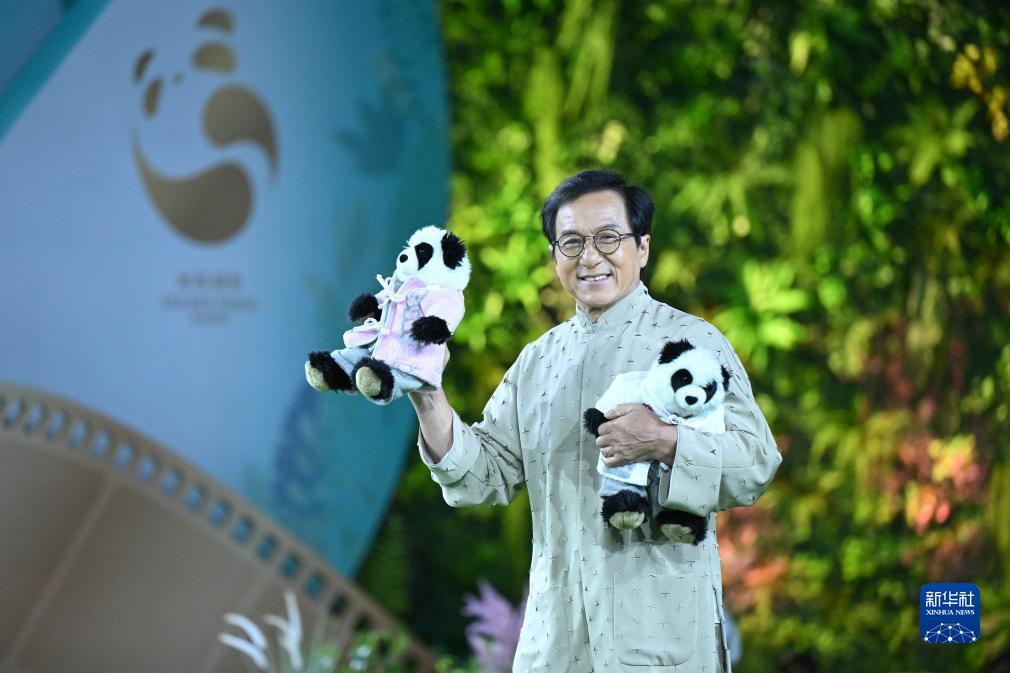 12博网址